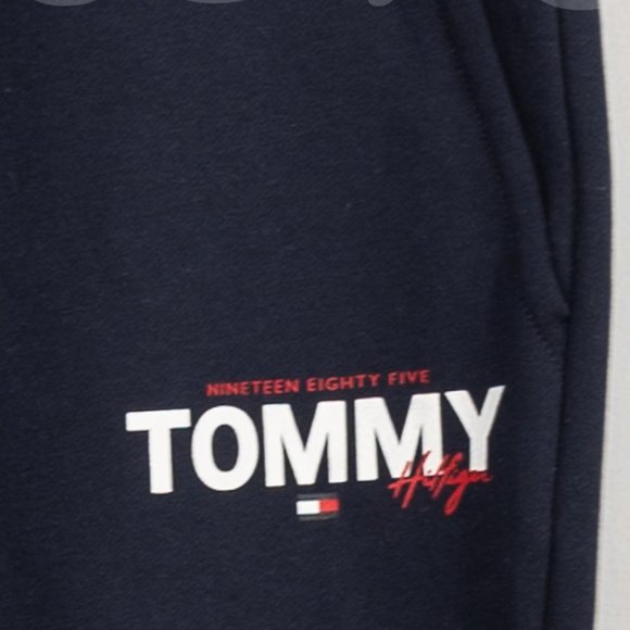Navy Tommy Hilfiger Men’s Jogger - Picture 6 of 9